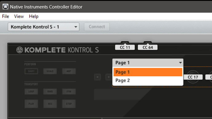 NI Control Editor