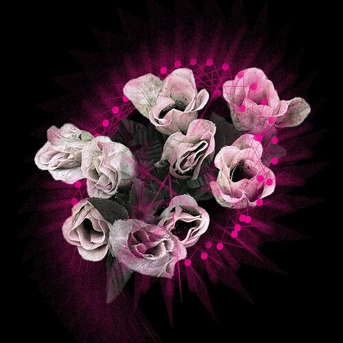 Elenoiid-Flowers-Cover-web